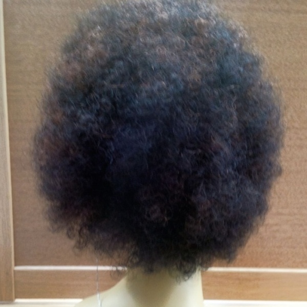 Wig Fashion By Sleek Human Hair Wig - Afro